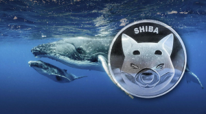 Largest Upcoming SHIB Event Preceded by Arrival of New 4.3 Trillion SHIB Whale