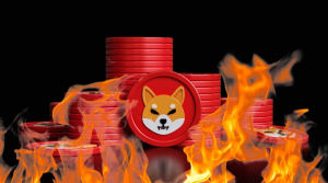 Shiba Inu Burn Rate Soars by 1000% as Millions of Tokens are Irrevocably Removed