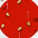 Asia's "MicroStrategy" Metaplanet Purchases $250 Million Worth of Bitcoin