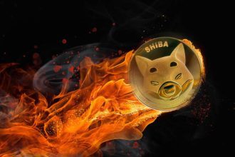 Shiba Inu Burns Over 7.9 Million Tokens as Burn Rate Soars by 2814%