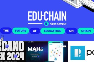 PuneDAO Announces Virtual Hackathon and Web3 Events for August 2024