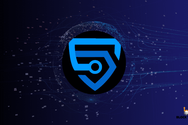 Can bitsCrunch Become The Google of Blockchain?