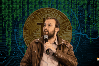 Hoskinson Warns Of Bitcoin's Potential Downfall