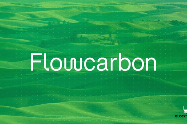 WeWork CEO’s Blockchain Project Flowcarbon Turns Nightmare