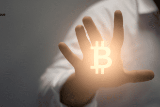 Bitcoin Wallets Grow: Big Players Rise, Middle-Class Shrinks