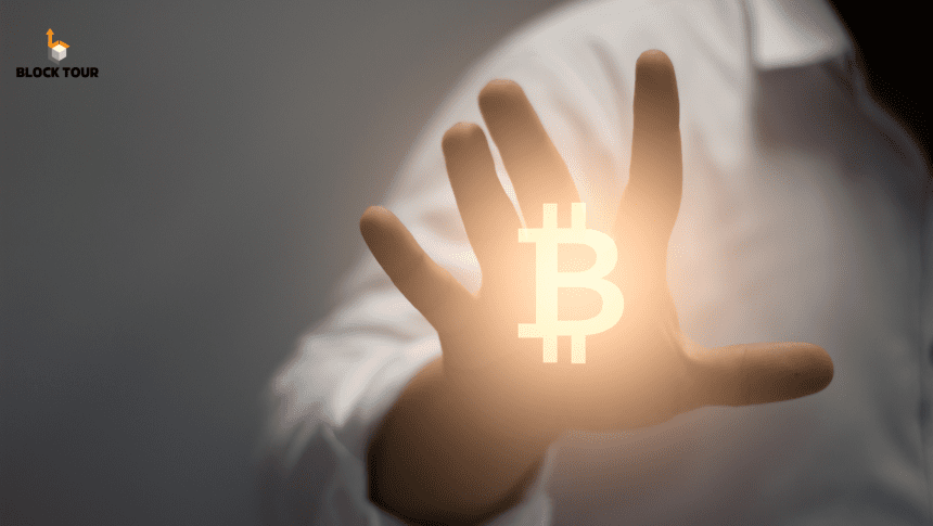 Bitcoin Wallets Grow: Big Players Rise, Middle-Class Shrinks