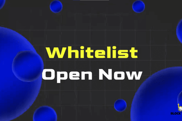 EtherScale Launches Rollup Whitelisting: Build and Deploy Your Own Scalable Blockchain