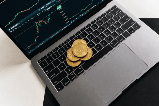 Best 5 Crypto Exchanges in India for Algo & Bot Trading